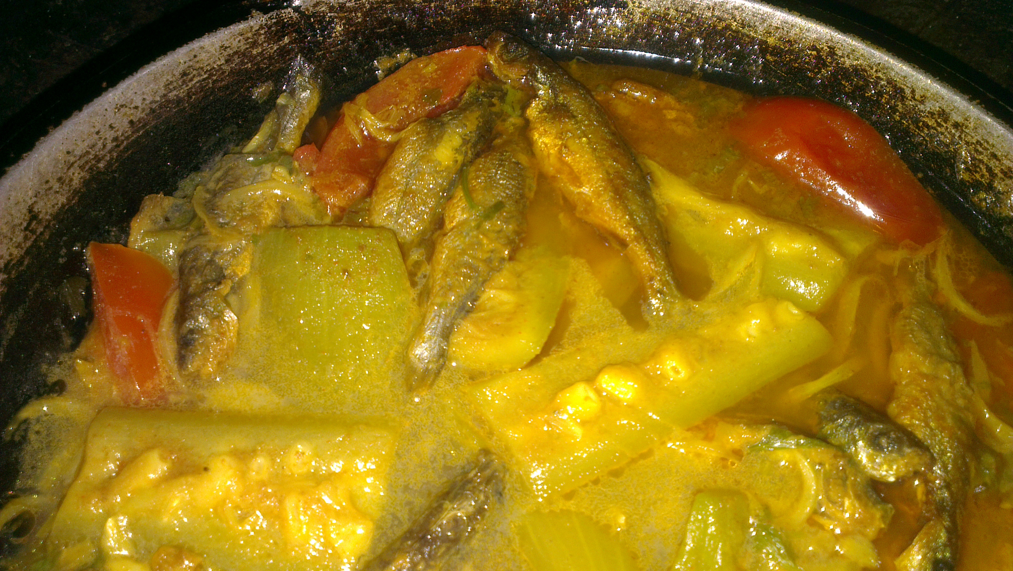 Zucchini Tomato and Fish Curry