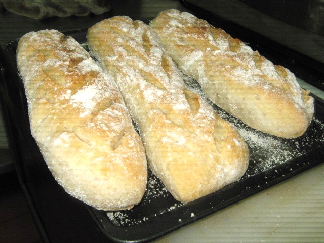 Classic Italian Crusty Bread