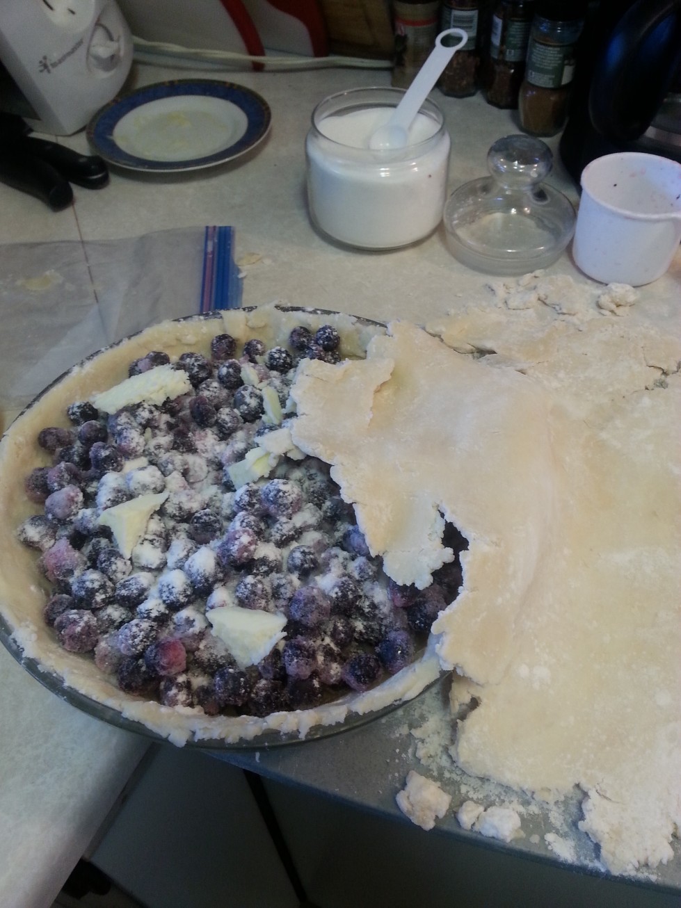 Rustic Blueberry Pie